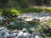 Awesome hot water(Granite Creek)